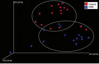 Analysis of the Microbiome in the Adenoids of Korean Children with Otitis Media with Effusion